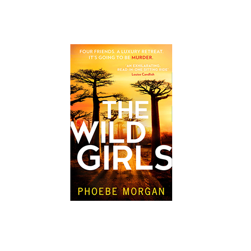 The Wild Girls by Phoebe Morgan