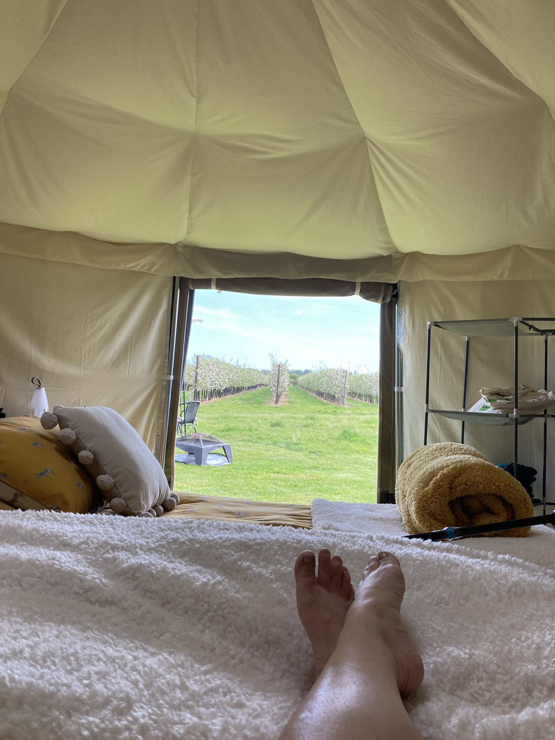 Chegworth Mill Glamping